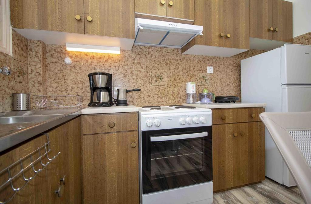 Manousi 1- Ground Floor Apartment Mystras Ngoại thất bức ảnh